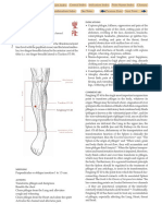 ST 40 PDF