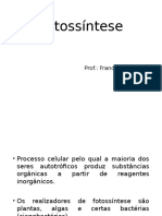 Fotossíntese Processo