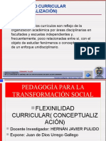 Flexibilidad Curricular Conceptualizacion1 i