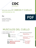 Musculos Cabeza Y Cuello: Ortodoncia R1