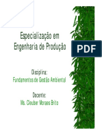 Degradação Ambiental Especialização Eng Prod..pdf