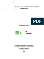 Reinterpretacion Litologica A Partir de Registros de Pozo