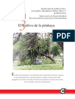 El cultivo de la Pitahaya.pdf