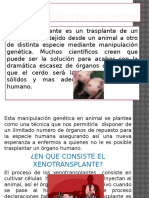 Xenotransplantes.pptx Robles
