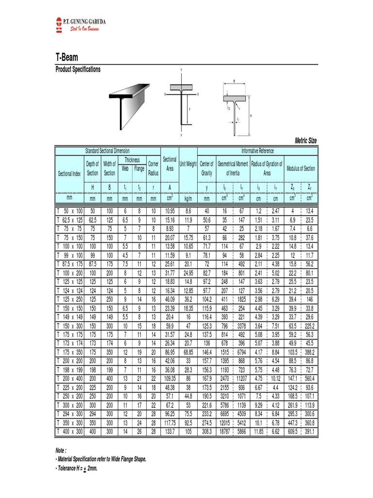 Spécifications des T-Beams | PDF | Ordinateurs | Technologie et ingénierie