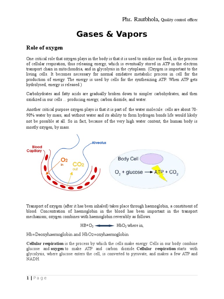 Oxygen and Carbon Dioxide Roles in Metabolism | PDF | Carbon Dioxide ...