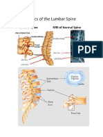 38+ Anatomi Lumbal Pdf