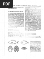 La Cocina y Los Alimentos 2