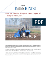 Rain in Punjab, Haryana Raises Hopes of Bumper Wheat Yield