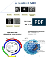 CURS 8a. Hepatite cu transmitere parenterala VHB.pdf