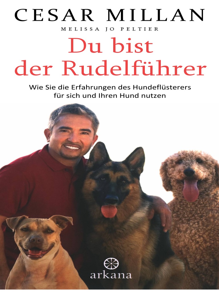 Sicherung für Hund und Katz - Damit die Tiere nicht fliegen - ACE