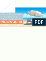 pilon_III.pdf