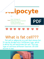 Fat Cell