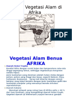 Vegetasi Alam Benua Afrika