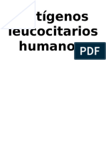 Antígenos leucocitarios humanos