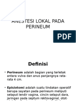 Anestesi Perineum