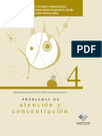 Problemas-de-Atencion-y-Concentracion.pdf