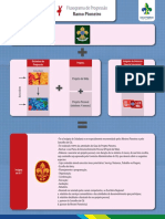 Fluxograma de Progressao Ramo Pioneiro PDF