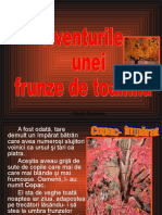 aventurile_unei_frunze_de_toamna.pps