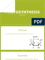 Photosynthesis Vocab11