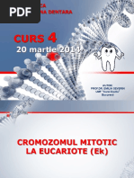 Curs 4 Genetica 20 Martie 2014