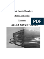 Delta and Estuaries