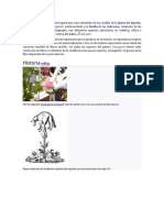 Todo sobre el algodón.pdf