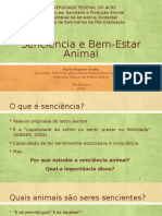 Senciência e Bem Estar Animal