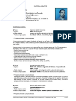 CV Rocha Amoros.pdf