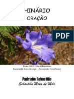 Padrinho Sebastiao - Oracao - Tablet