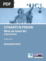 Litigants in Person What Can Courts Do June 2014