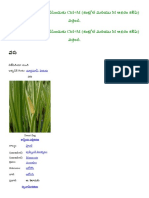 వస PDF