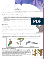 Pruning_YoungTrees.pdf