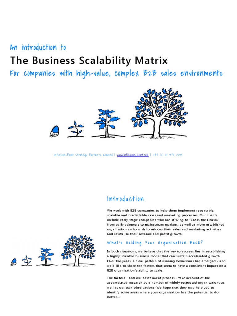Business Scalability Matrix for B2B Sales | PDF | Customer Relationship ...