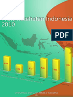 Profil Kesehatan Indonesia 2010 PDF
