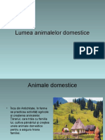 Lumea animalelor domestice.ppt