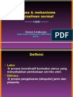 12.20 Proses & Mekanisme Persalinan Normal - WDD