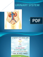 1. Urinary System Anfis