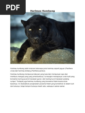Harimau Kumbang Pdf