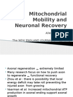 Mitochondrial Mobility and Neuronal Recovery