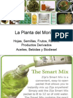 La Planta Del Moringa: Hojas, Semillas, Frutos, Raíces, Productos Derivados Aceites, Bebidas y Biodiesel