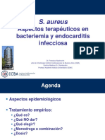 S. aureus bacteriemia and IE treatment