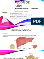 Secreción de Insulina