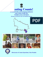 Counting_Counts_Book.pdf