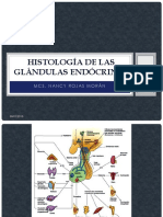 Histología de Las Glándulas Endocrinas