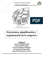Estructura, planificacion y organizacion de la empresa.pdf