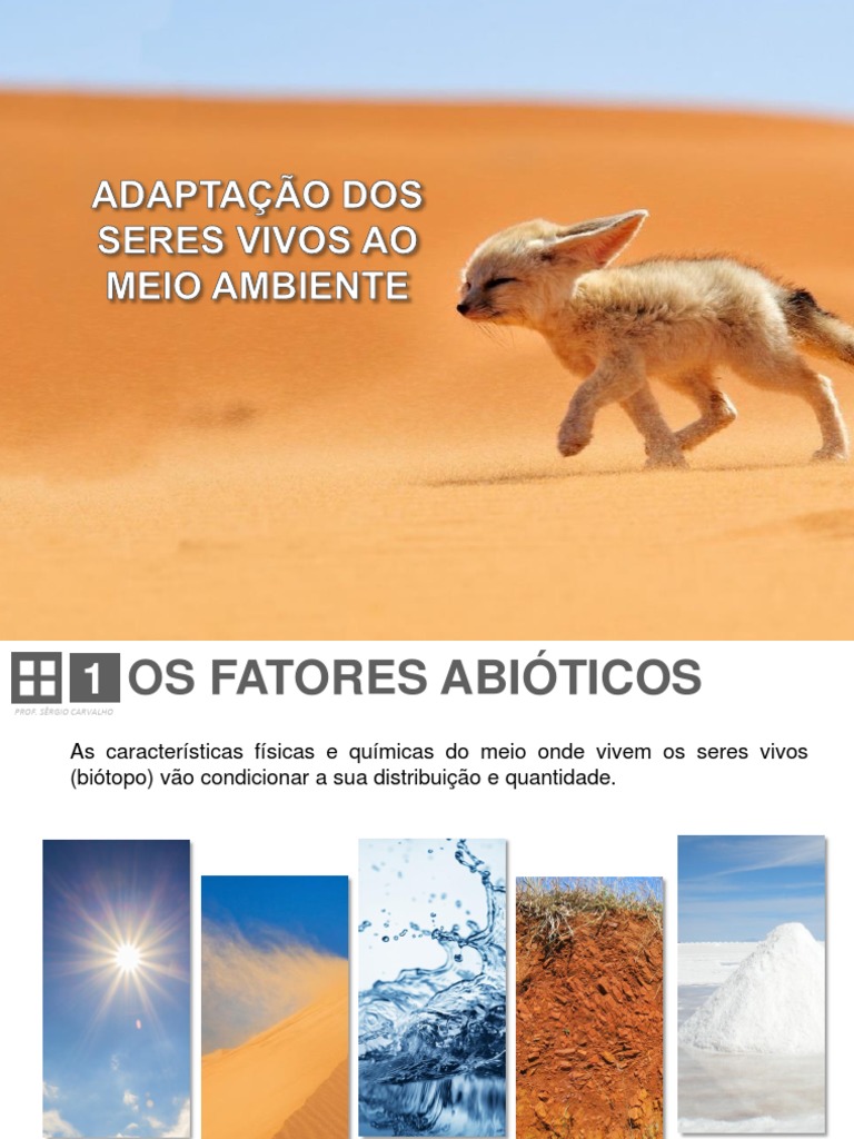 Adaptação dos Seres Vivos ao Ambiente | PDF | Extinção | Água