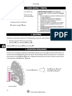 307440762-Neumologia (1).pdf