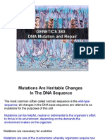 DNA Mutation and Repair