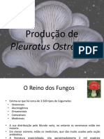ponencia_p.cheira.pdf